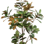 Kunstplant Magnolia Grandiflora 180 cm