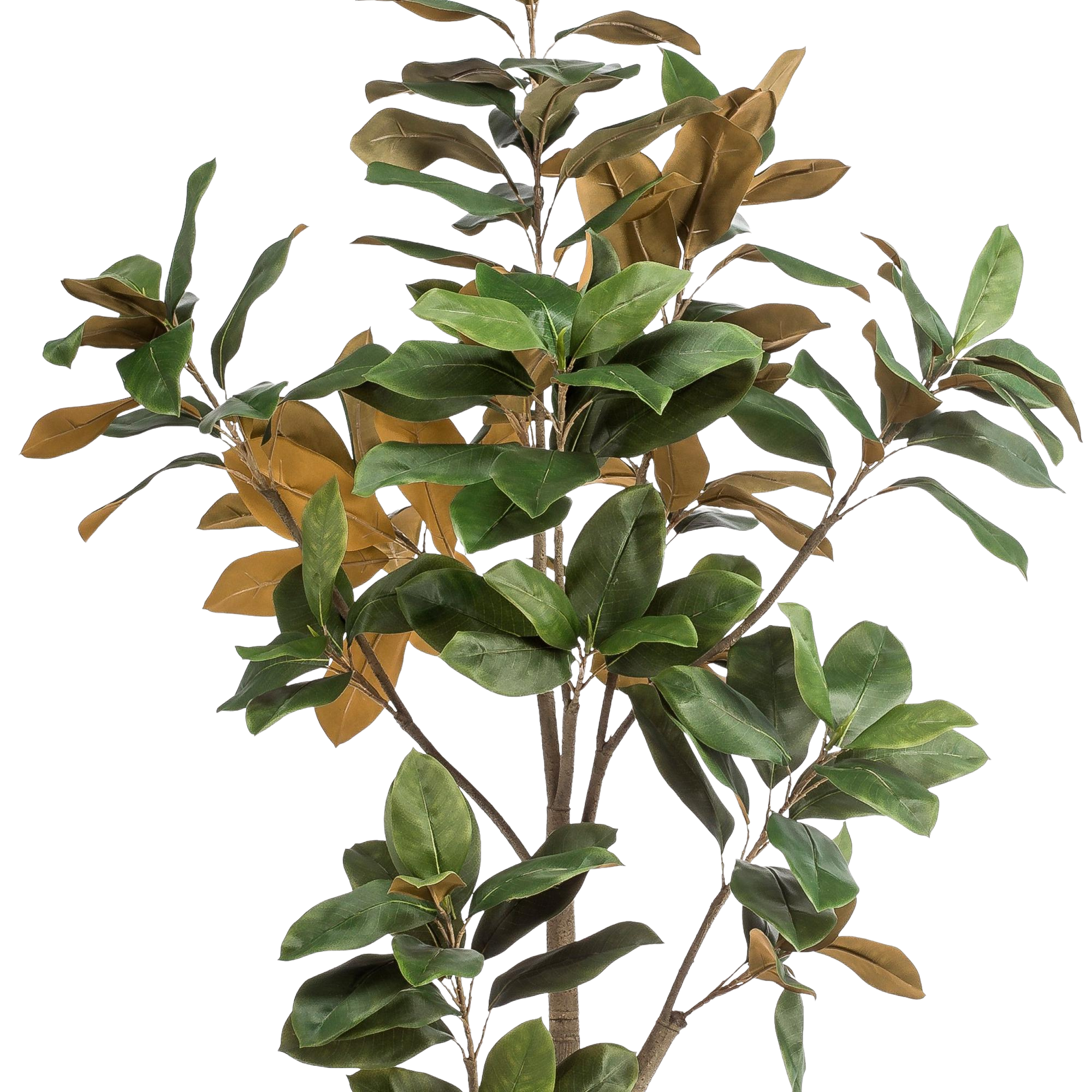 Kunstplant Magnolia Grandiflora 180 cm