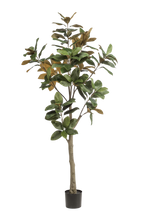 Kunstplant Magnolia Grandiflora 180 cm