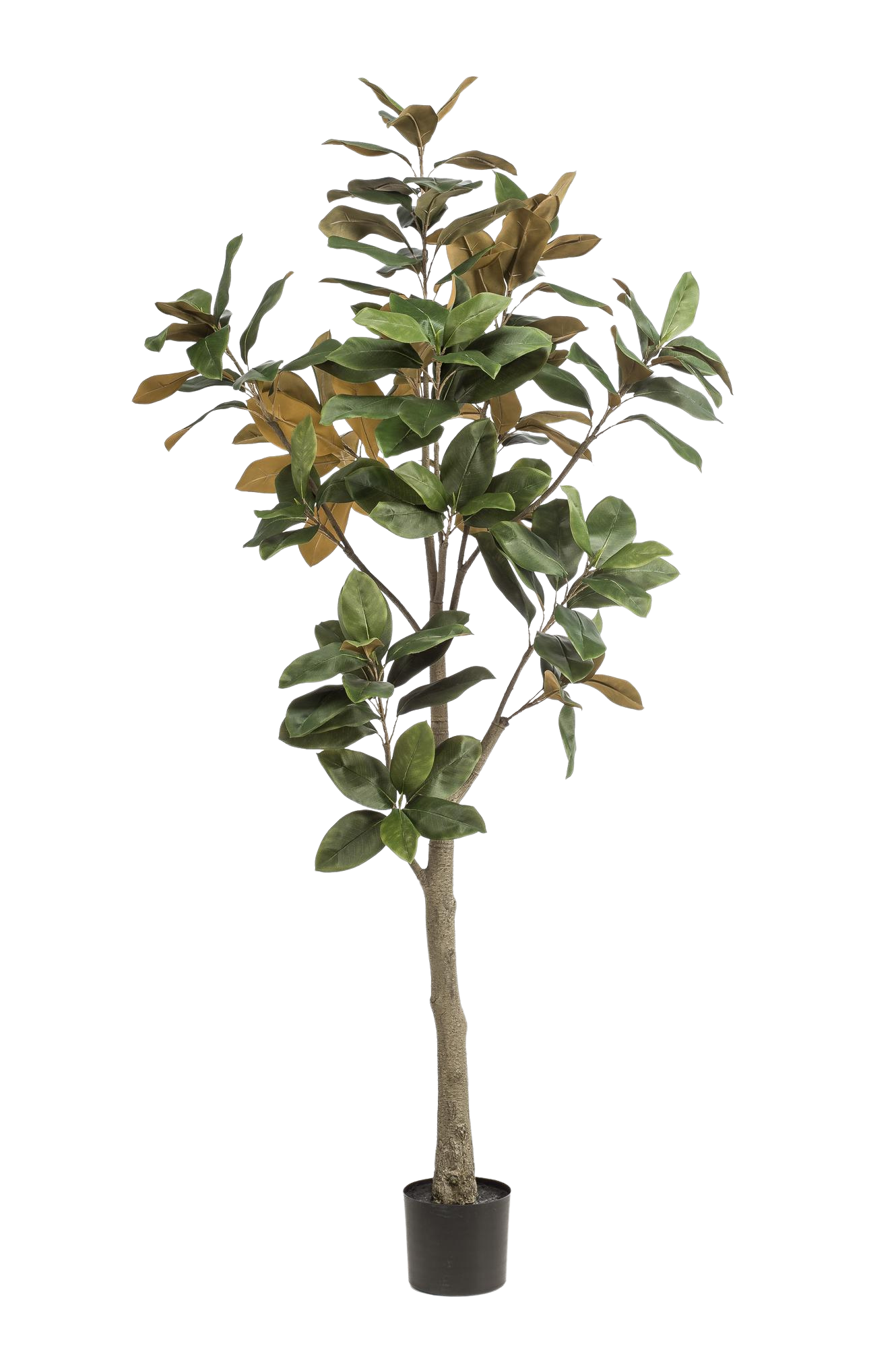 Kunstplant Magnolia Grandiflora 180 cm