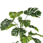 Kunstplant Monstera Deliciosa 180cm