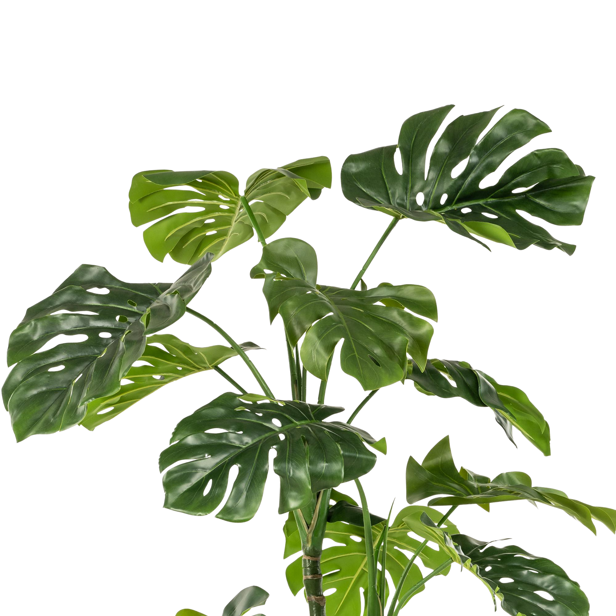 Kunstplant Monstera Deliciosa 180cm