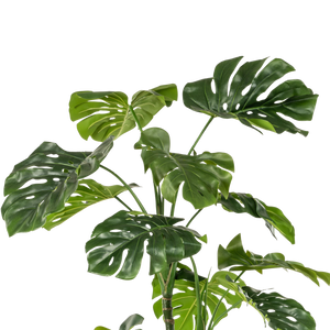 Kunstplant Monstera Deliciosa 180cm