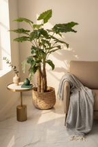 Kunstplant Alocasia 180 cm