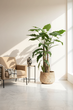 Kunstplant Alocasia 180 cm