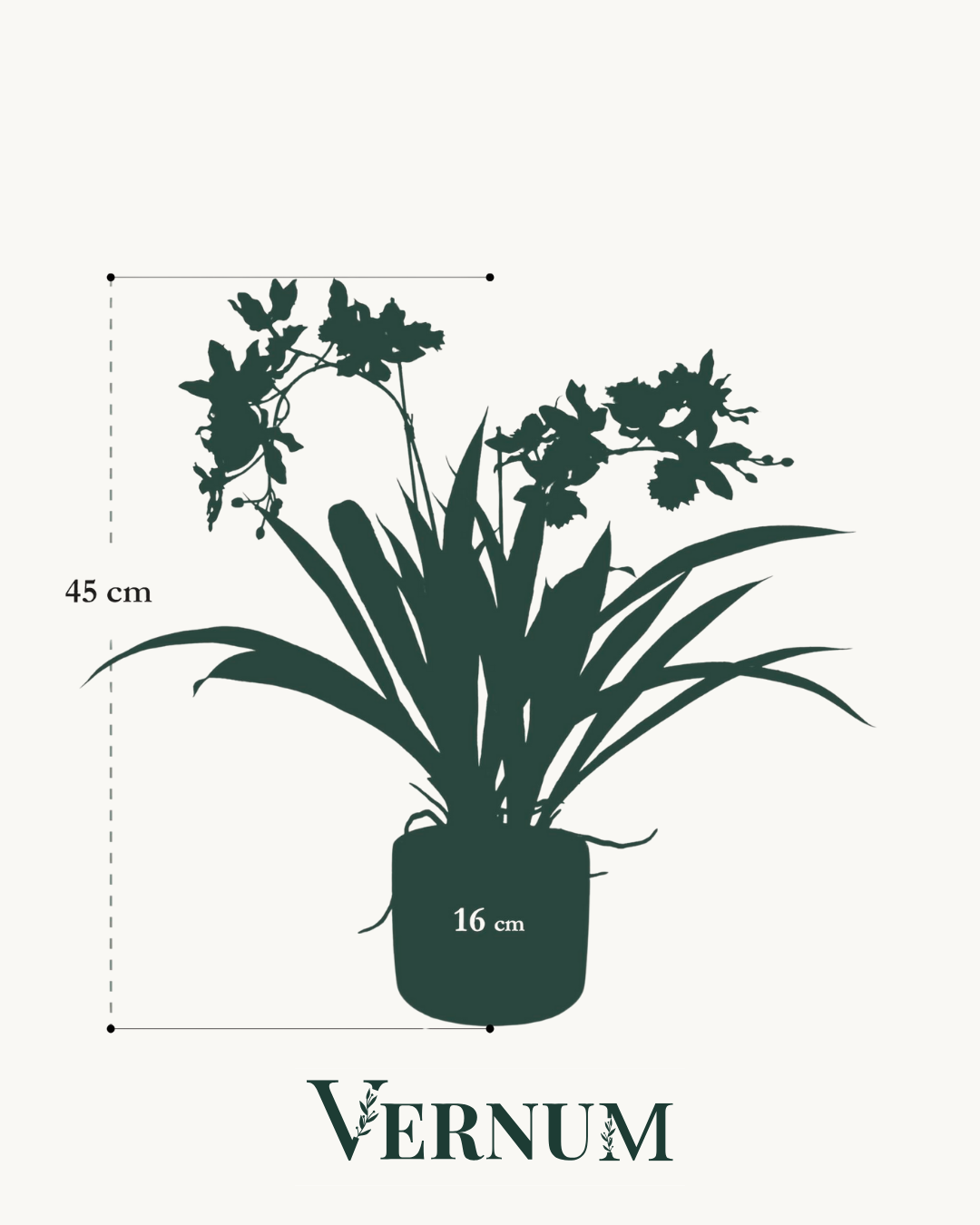 Kunstplant Orchidee Bordeaux 45cm