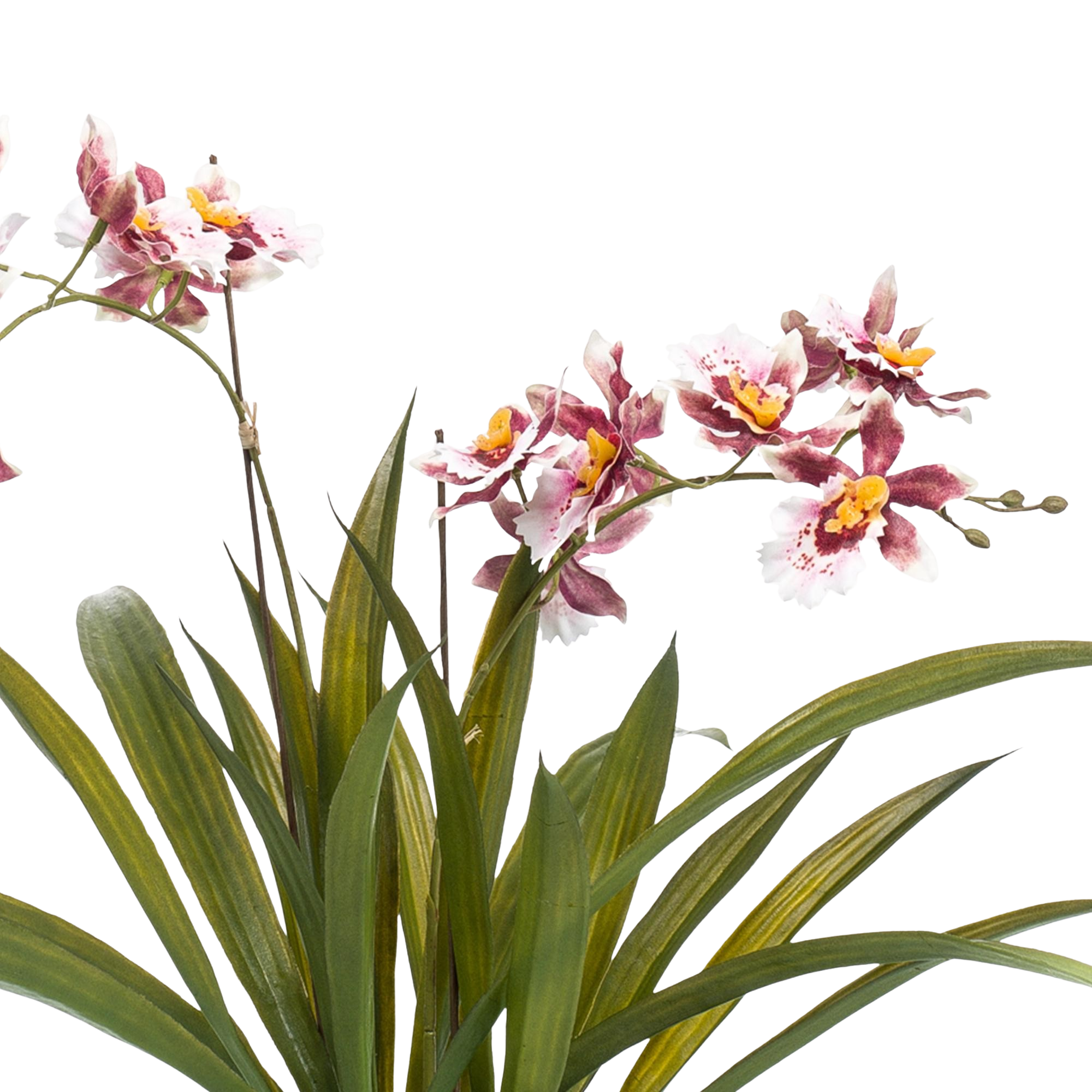 Kunstplant Orchidee Bordeaux 45cm