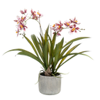 Kunstplant Orchidee Bordeaux 45cm