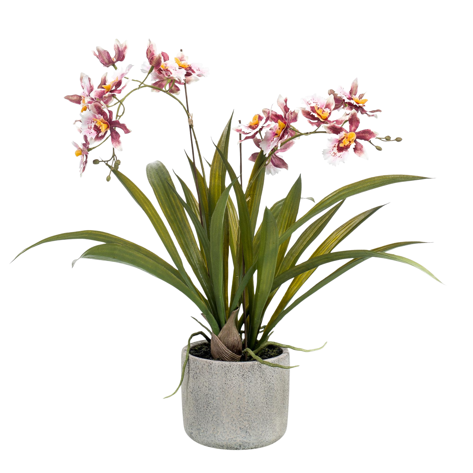 Kunstplant Orchidee Bordeaux 45cm