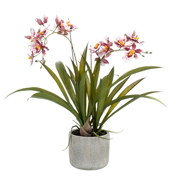 Kunstplant Orchidee Bordeaux 45cm