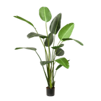 Kunstplant Strelitzia Nicolai 230cm