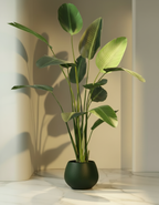 Kunstplant Strelitzia Nicolai 230cm