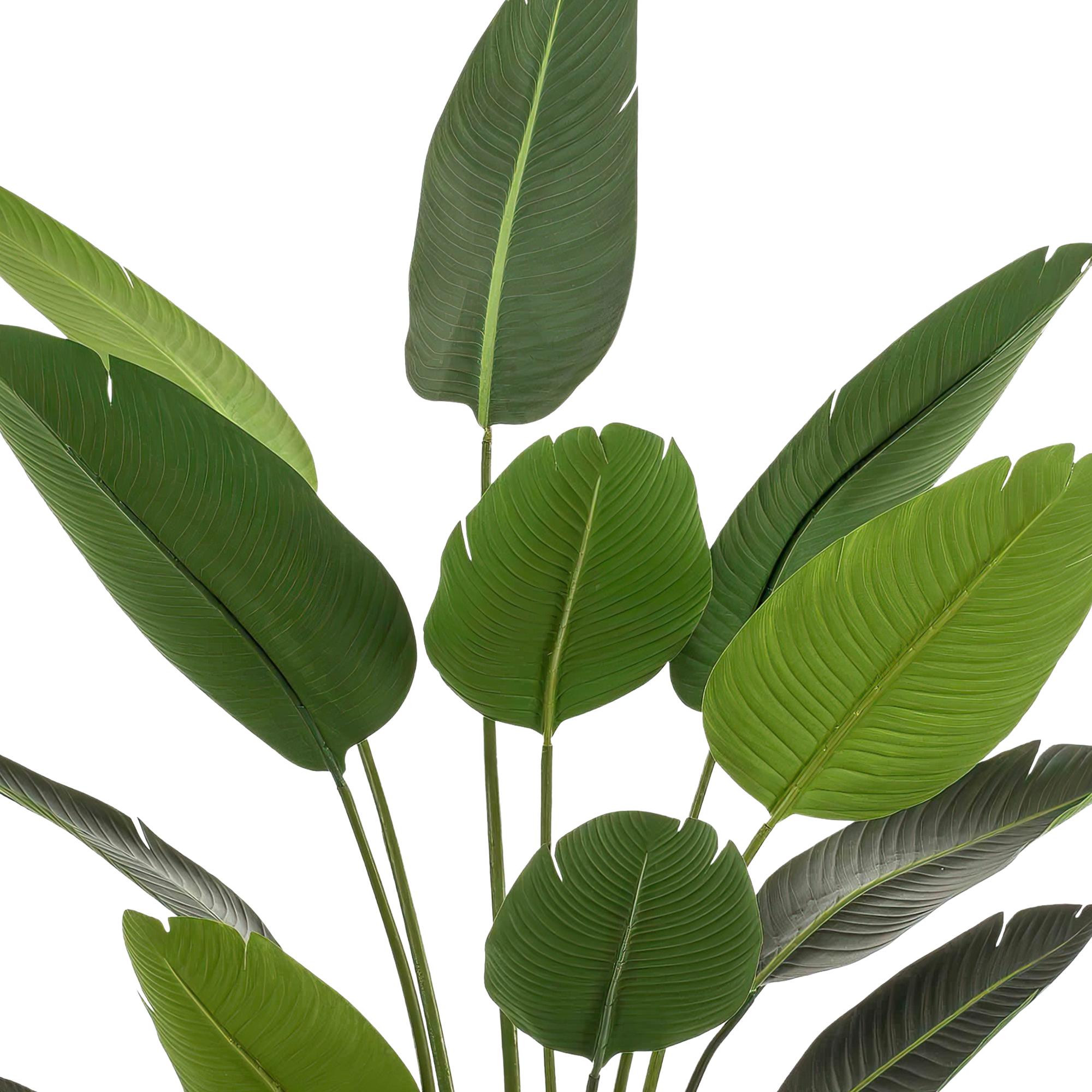 Kunstplant Strelitzia Nicolai 190 cm