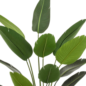 Kunstplant Strelitzia Nicolai 190 cm