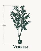 Kunstplant Cherry Blossom Roze 210cm