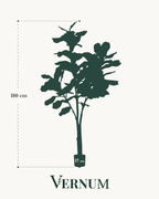Kunstplant Ficus Lyrata 180 cm