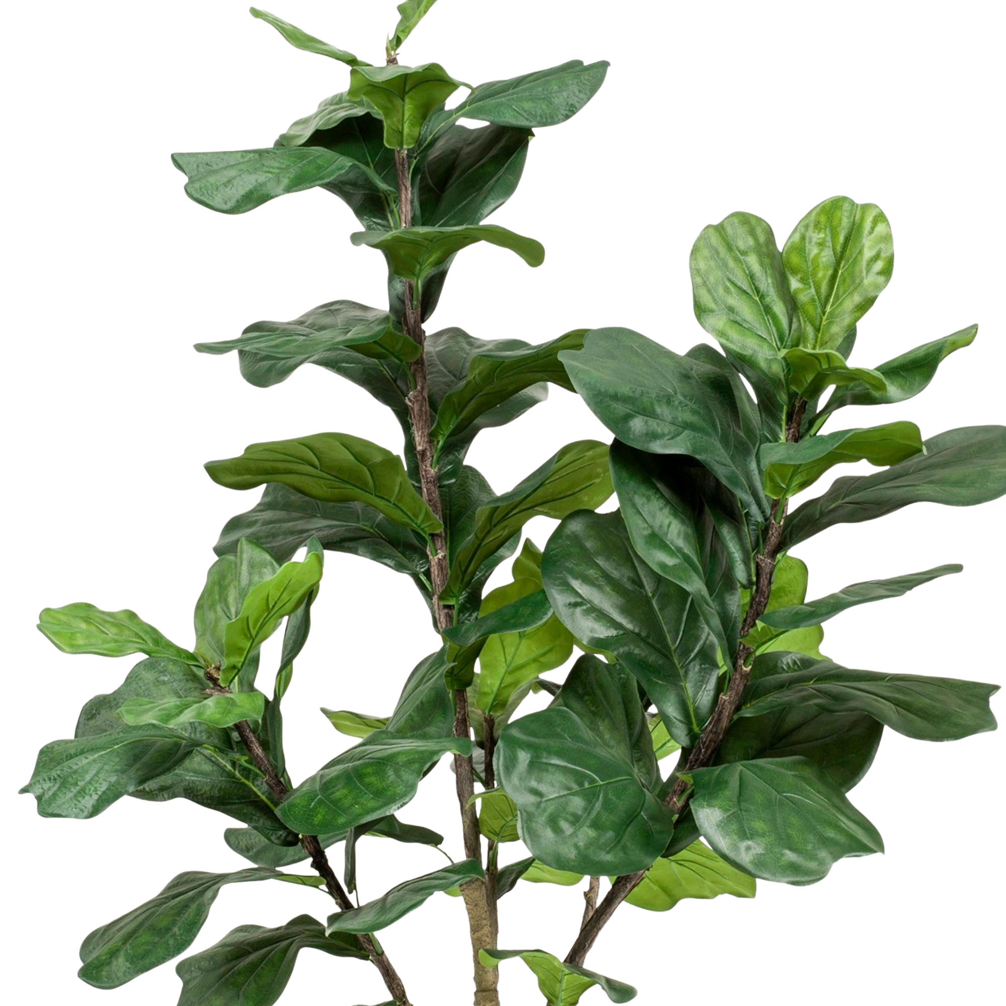 Kunstplant Ficus Lyrata 180 cm