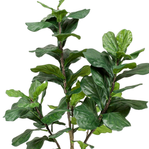 Kunstplant Ficus Lyrata 180 cm