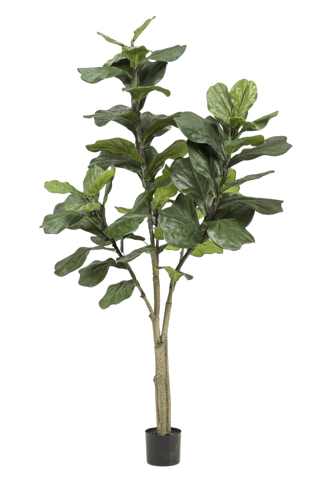Kunstplant Ficus Lyrata 180 cm