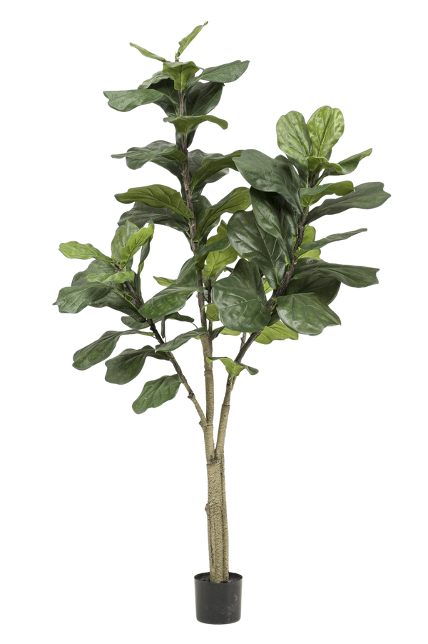 Kunstplant Ficus Lyrata 180 cm