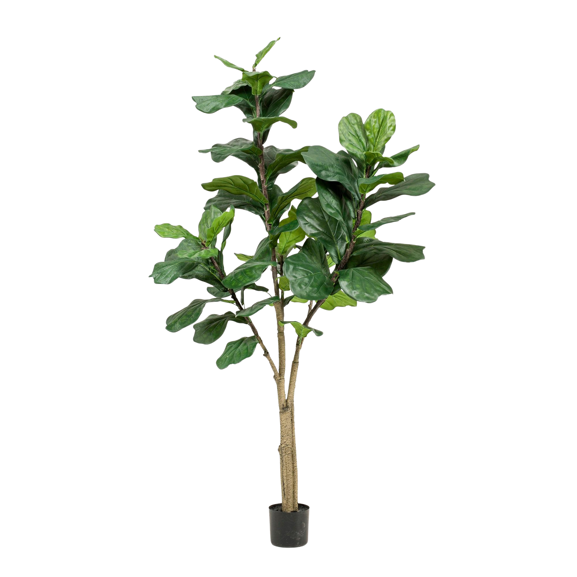 Kunstplant Ficus Lyrata 180 cm