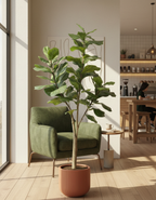 Kunstplant Ficus Lyrata 180 cm