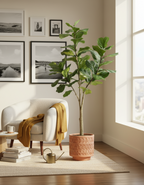 Kunstplant Ficus Lyrata 180 cm