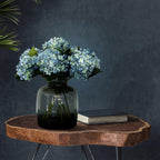 Acht blauwe hortensia's