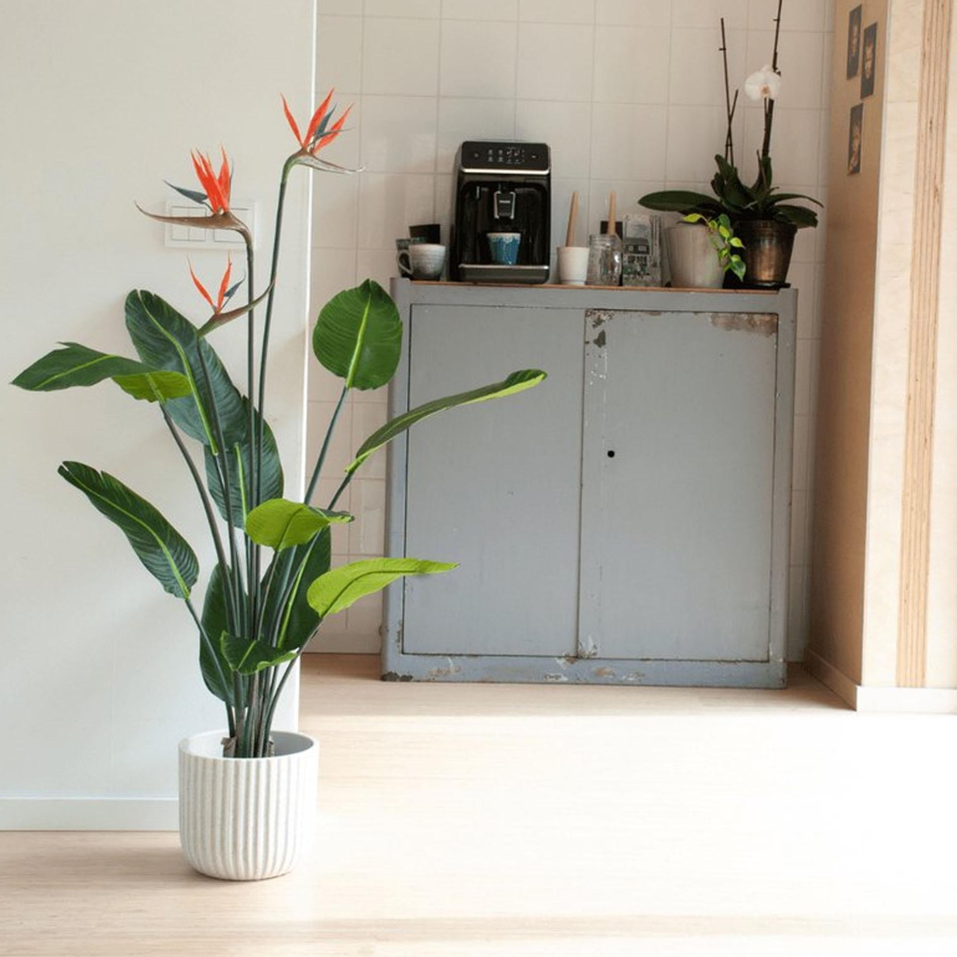 Kunstplant Strelitzia met bloemen 120cm