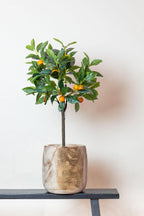 Kunstplant Citrus Sinensis 75 cm