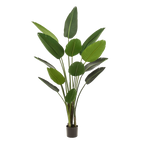 Kunstplant Strelitzia Nicolai 190 cm