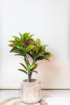Kunstplant Croton Codiaeum 95 cm