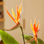 Kunstplant Strelitzia met bloemen 120cm