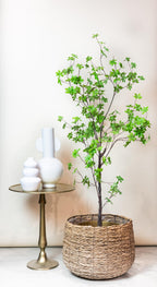 Kunstplant Oost Indische Kers 210cm