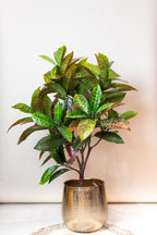 Kunstplant Croton Codiaeum 120 cm