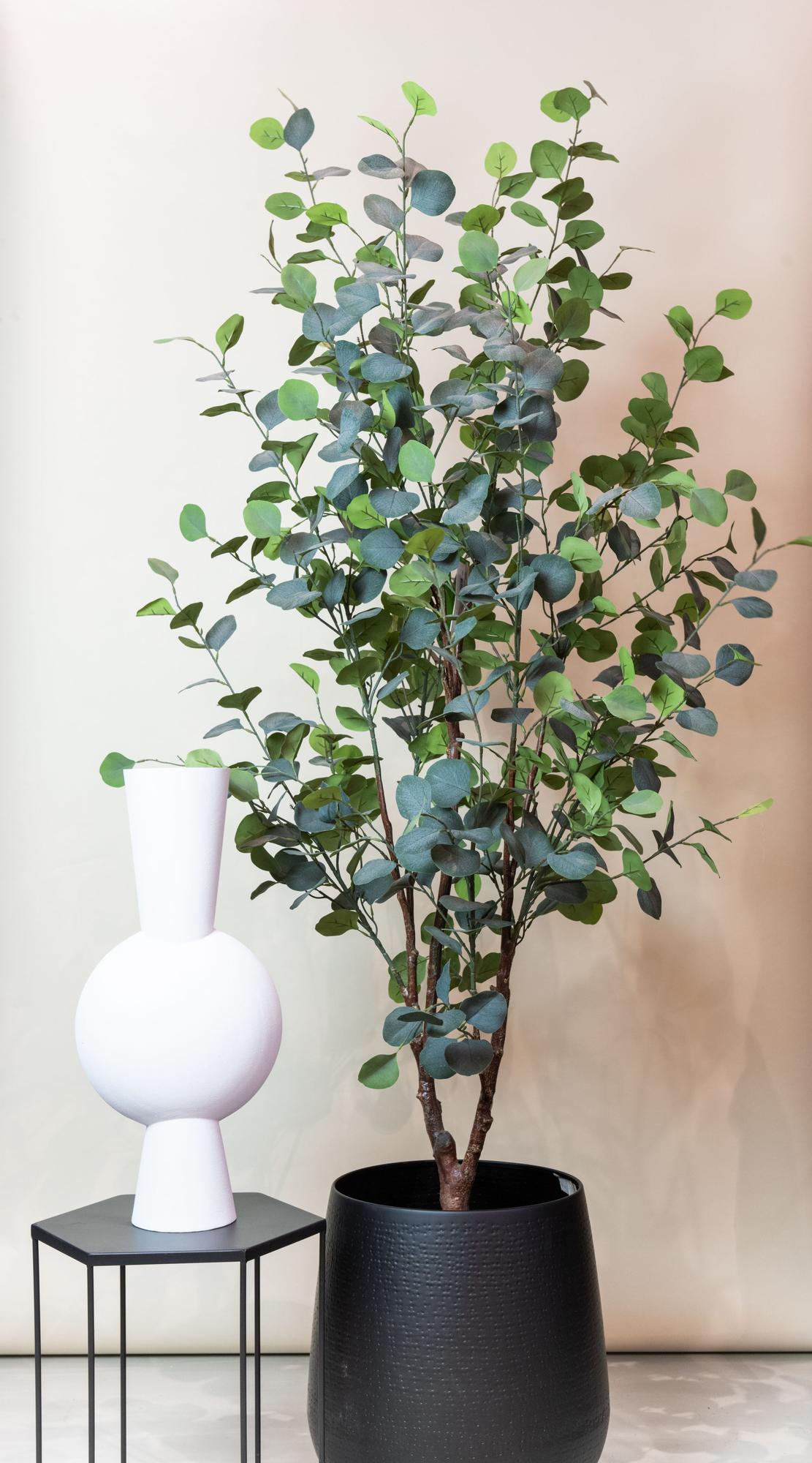 Kunstplant Eucalyptus 180 cm