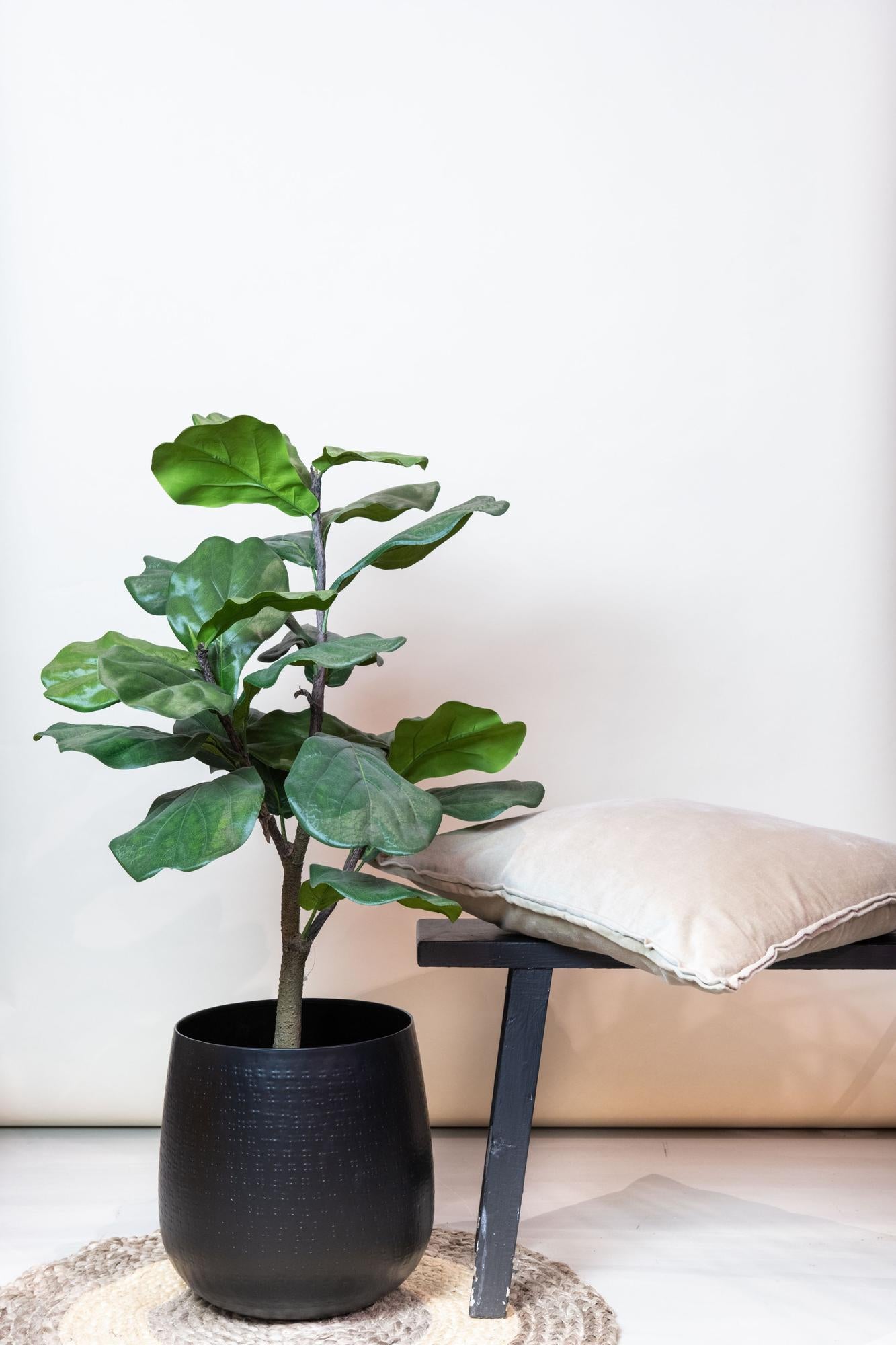 Kunstplant Ficus Lyrata 90 cm