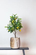 Kunstplant Citrus Limonia 75 cm