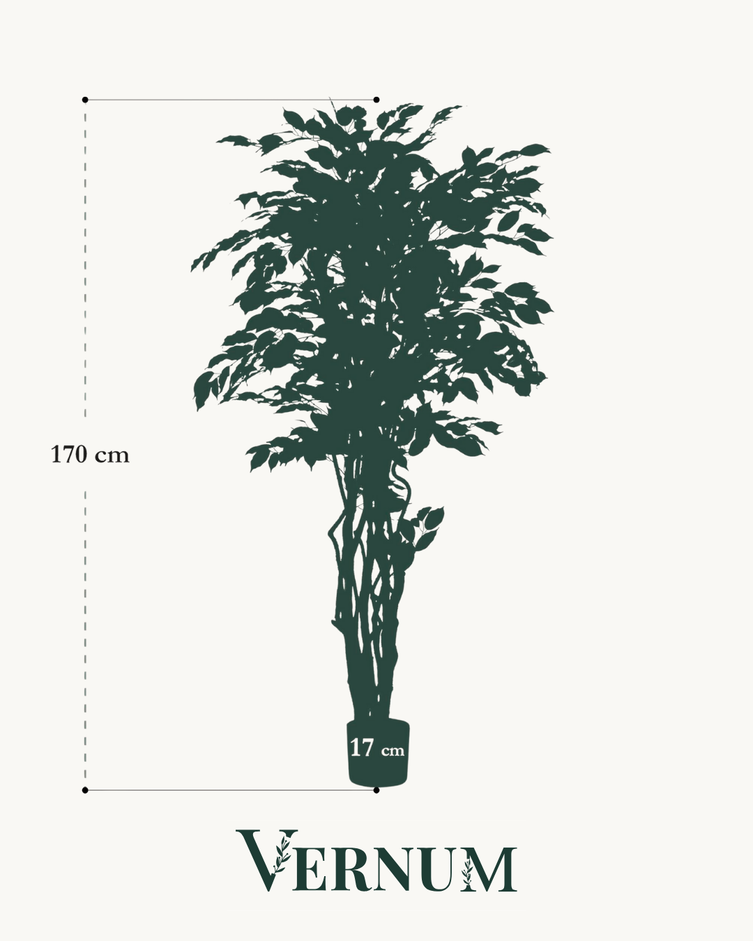 Kunstplant Ficus Liana 170cm