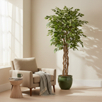 Kunstplant Ficus Liana 170cm