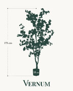 Kunstplant Cherry Blossom Wit 175cm