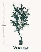 Kunstplant Cherry Blossom Wit 210cm